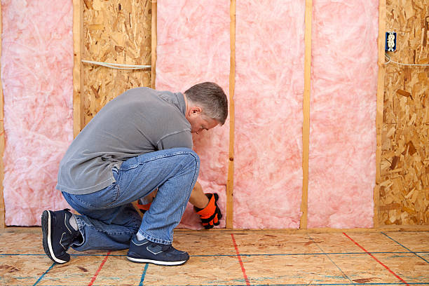 Best DIY Insulation Kits and Guidance in Wolverine Lake, MI