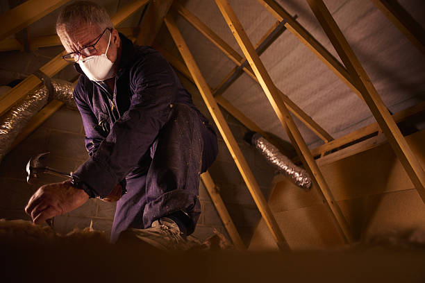Best Insulation Maintenance and Repair in Wolverine Lake, MI