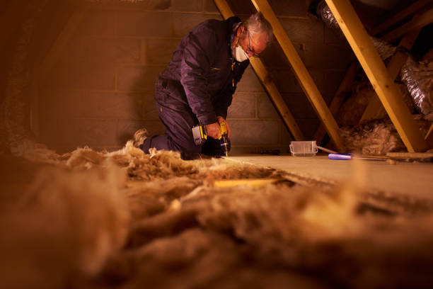 Best Geographic-Specific Insulation Services in Wolverine Lake, MI