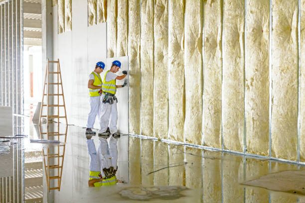 Best Commercial Insulation in Wolverine Lake, MI